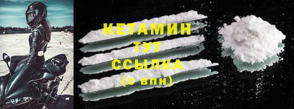 гидра Елизово