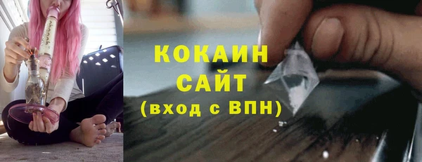 гидра Елизово