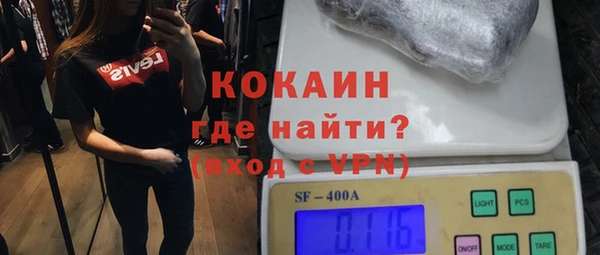 гидра Елизово