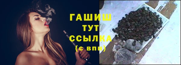 гидра Елизово