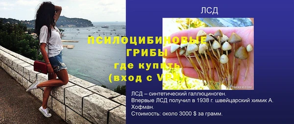 гидра Елизово