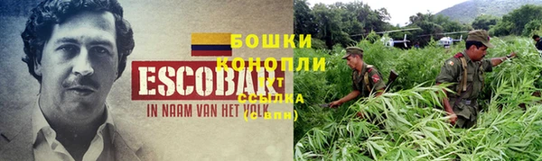 гидра Елизово
