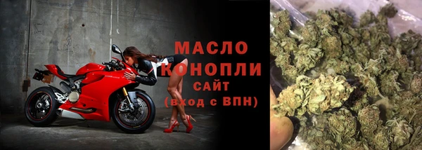 гидра Елизово