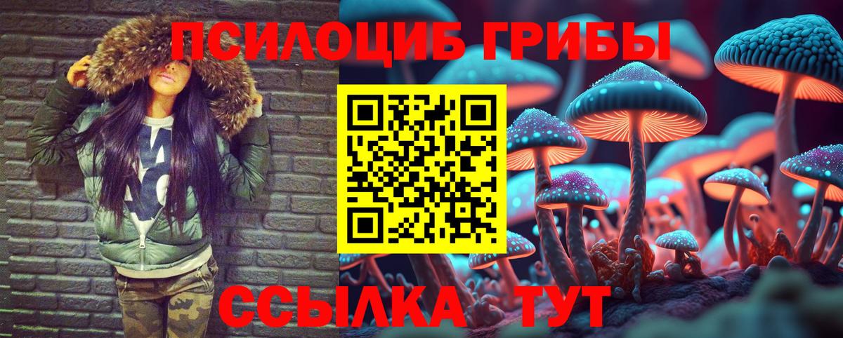 Галлюциногенные грибы прущие грибы Карабулак
